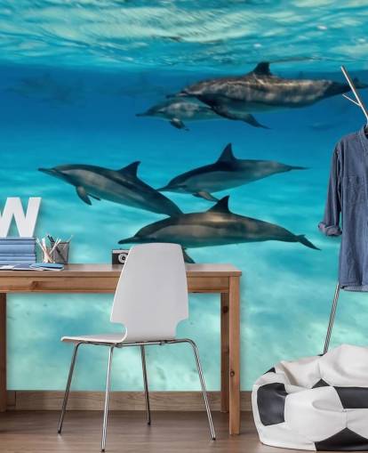 Dolphin Pod Under Sea Wall Mural Dolphin Pod Under Sea Wall Mural