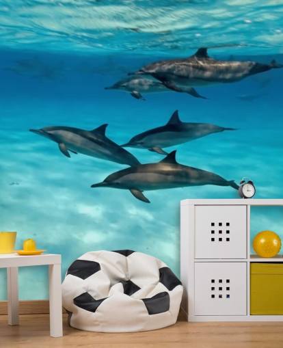 Dolphin Pod Under the Sea Wall Mural