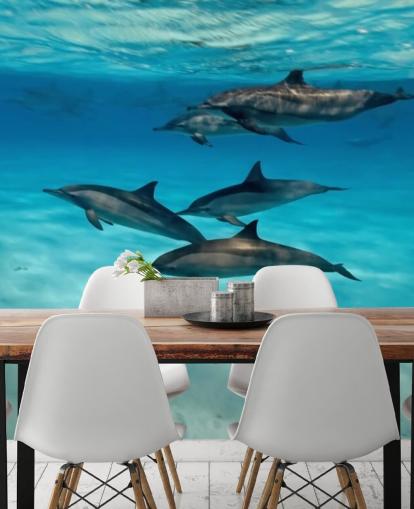 Dolphin Pod Under the Sea Wall Mural Dolphin Pod Under the Sea Wall Mural
