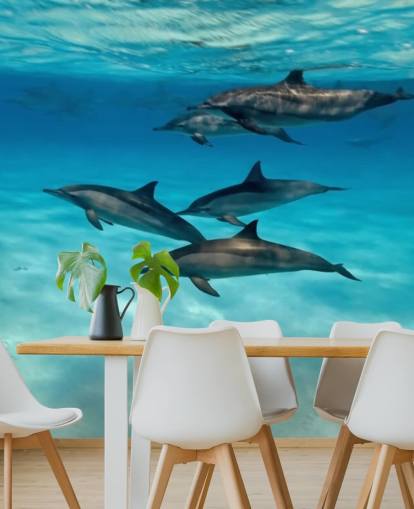 Dolphin Pod Under havet väggmålning