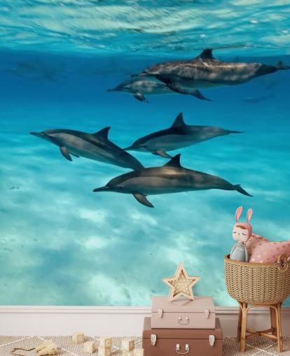 Dolphin Pod Under the Sea Wall Mural