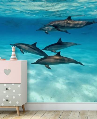 Mural de pared Cápsula de delfines bajo