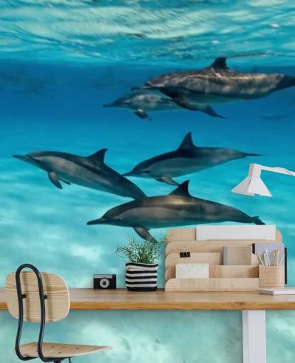 Mural de pared Cápsula de delfines bajo