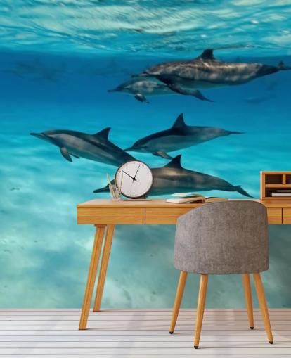 Dolphin Pod Under the Sea Wall Mural Dolphin Pod Under the Sea Wall Mural