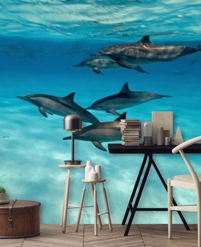 Dolphin Pod Under Sea Wall Mural Dolphin Pod Under Sea Wall Mural