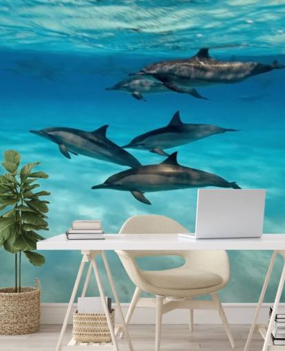 Mural de pared Cápsula de delfines bajo