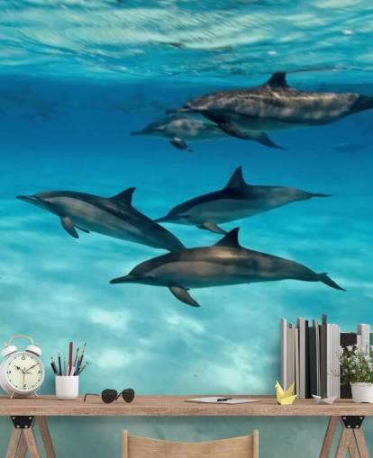 Dolphin Pod Under Sea Wall Mural Dolphin Pod Under Sea Wall Mural