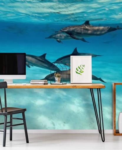 Dolphin Pod Under the Sea Wall Mural
