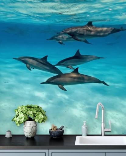 Dolphin Pod Under the Sea Wall Mural