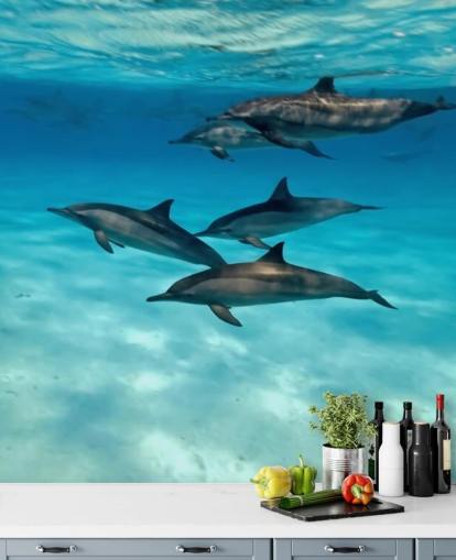 Dolphin Pod sob o mural da parede do mar