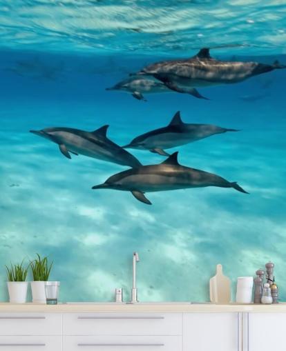 Dolphin Pod Under the Sea Wall Mural Dolphin Pod Under the Sea Wall Mural