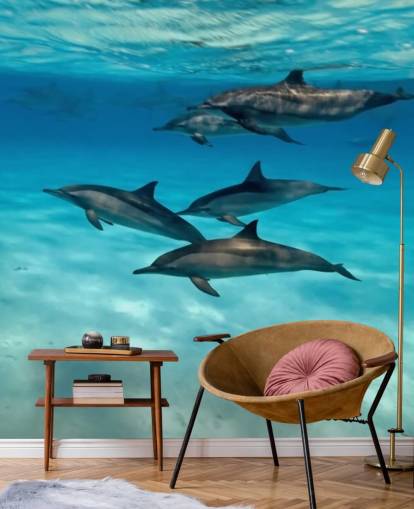 Dolphin Pod Under the Sea Wall Mural Dolphin Pod Under the Sea Wall Mural