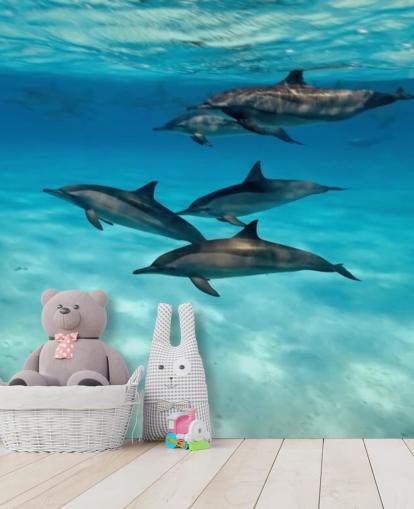 Dolphin Pod sob o mural da parede do mar