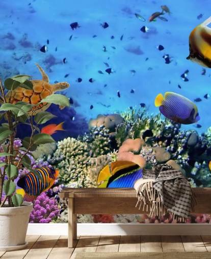 Coral Colony on a Reef Coral Wallpaper