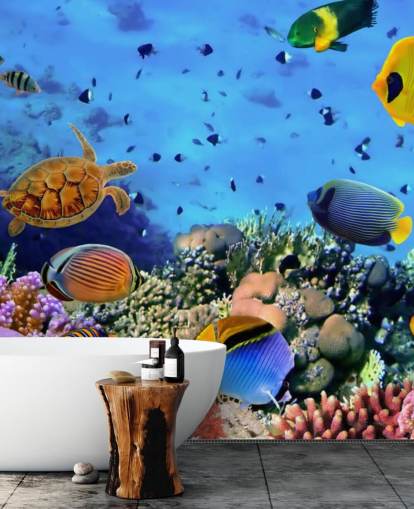 colourful customisable fish wallpaper mural called Photo of a Coral Colony for kid's bedroom