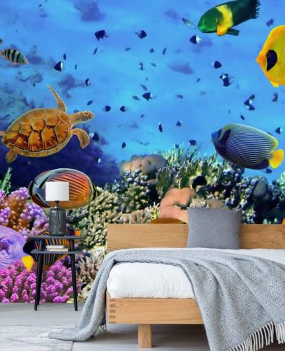 kleurrijke aanpasbare muurschildering met vissen genaamd Photo of a Coral Colony voor de kinderkamer kleurrijke aanpasbare muurschildering met vissen genaamd Photo of a Coral Colony voor de kinderkamer