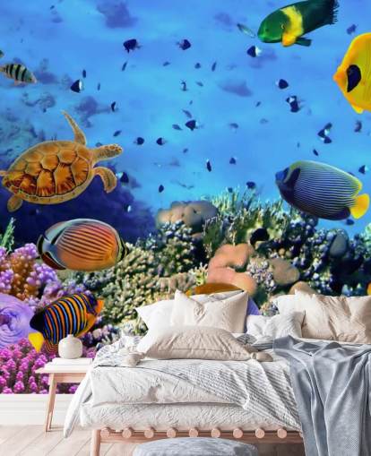 colorful customizable fish wallpaper mural called Photo of a Coral Colony for kid's bedroom colorful customizable fish wallpaper mural called Photo of a Coral Colony for kid's bedroom