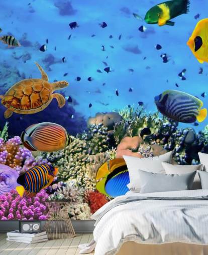 carta da parati murale colorata personalizzabile con pesci chiamata Photo of a Coral Colony per la cameretta dei bambini carta da parati murale colorata personalizzabile con pesci chiamata Photo of a Coral Colony per la cameretta dei bambini