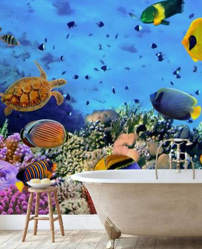 colourful customisable fish wallpaper mural called Photo of a Coral Colony for kid's bedroom