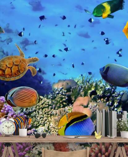 colorful customizable fish wallpaper mural called Photo of a Coral Colony for kid's bedroom colorful customizable fish wallpaper mural called Photo of a Coral Colony for kid's bedroom