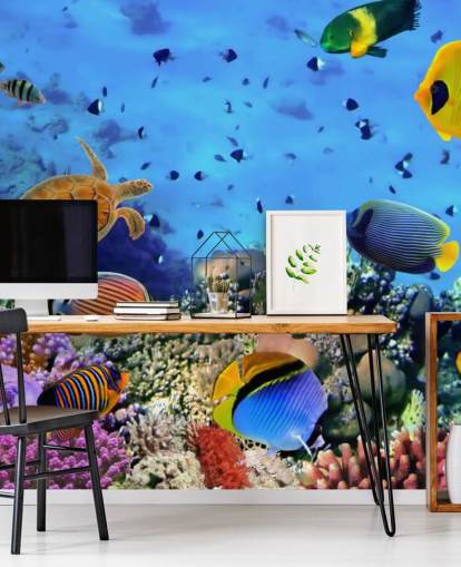 kleurrijke aanpasbare muurschildering met vissen genaamd Photo of a Coral Colony voor de kinderkamer