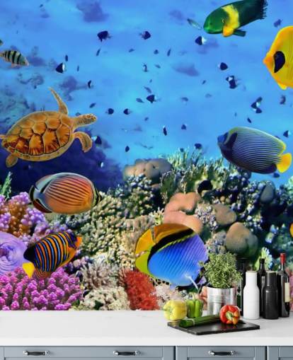 papier peint mural coloré de poissons personnalisable appelé Photo d'une colonie de coraux pour chambre d'enfant papier peint mural coloré de poissons personnalisable appelé Photo d'une colonie de coraux pour chambre d'enfant
