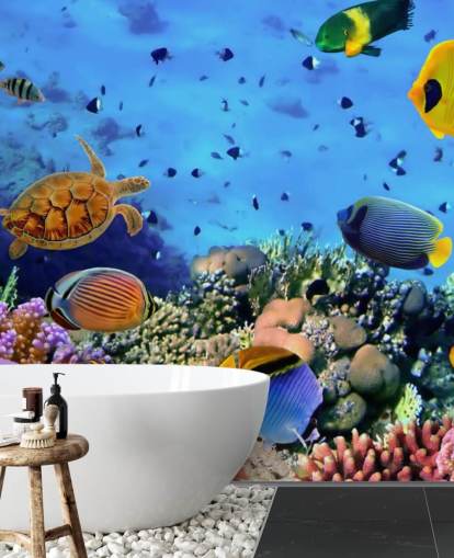 colorful customizable fish wallpaper mural called Photo of a Coral Colony for kid's bedroom