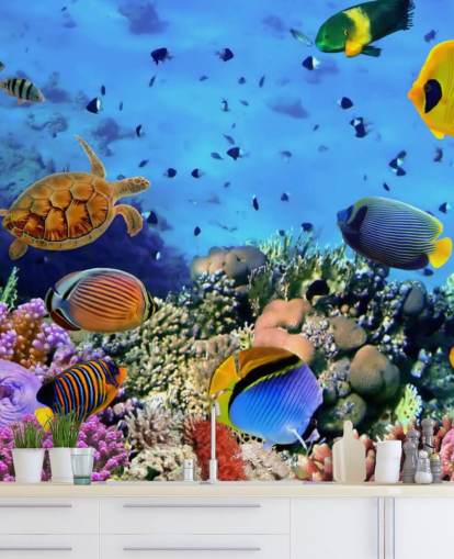 colourful customisable fish wallpaper mural called Photo of a Coral Colony for kid's bedroom