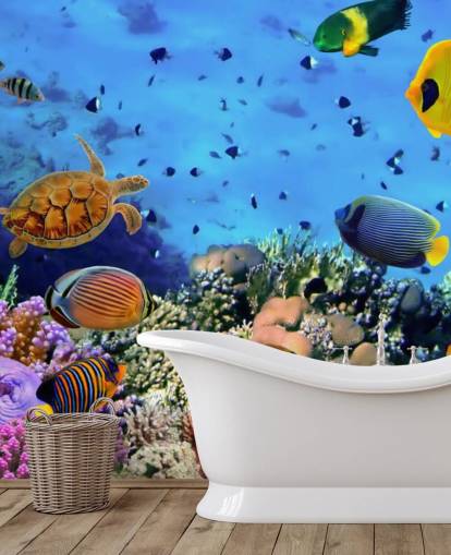 colourful customisable fish wallpaper mural called Photo of a Coral Colony for kid's bedroom