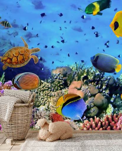 mural colorido de papel de parede de peixe personalizável chamado Photo of a Coral Colony para quarto de criança mural colorido de papel de parede de peixe personalizável chamado Photo of a Coral Colony para quarto de criança
