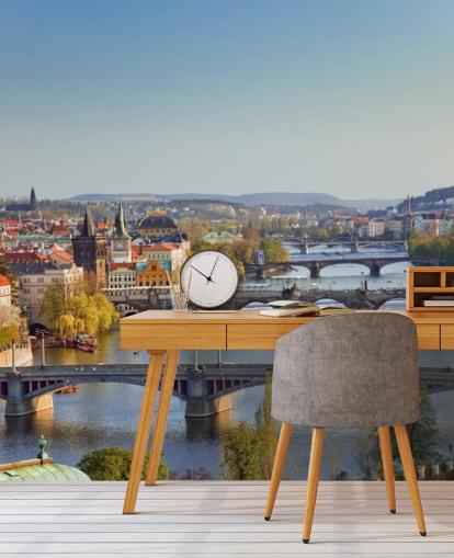Decorazione murale con fiume Praga