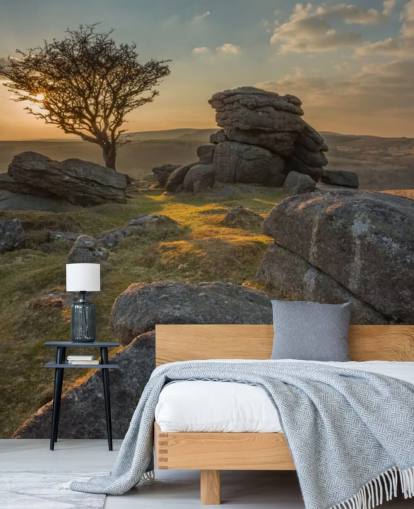 Craggy Mountain Top Mural