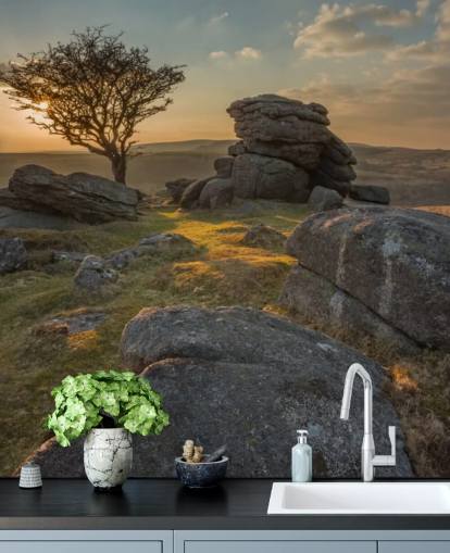 Craggy Mountain Top Mural