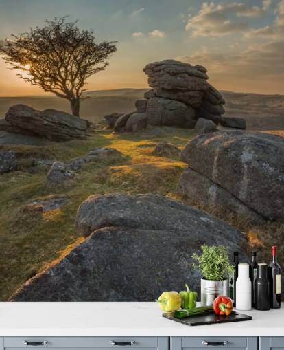 Craggy Mountain Top Mural