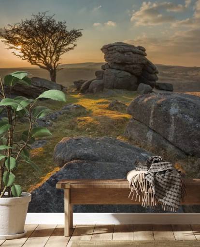 Emsworthy Dartmoor Mountain Wallpaper