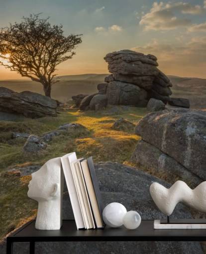Craggy Mountain Top Mural