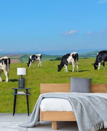 Papel de parede Dairy Devon Cows in Field Papel de parede Dairy Devon Cows in Field