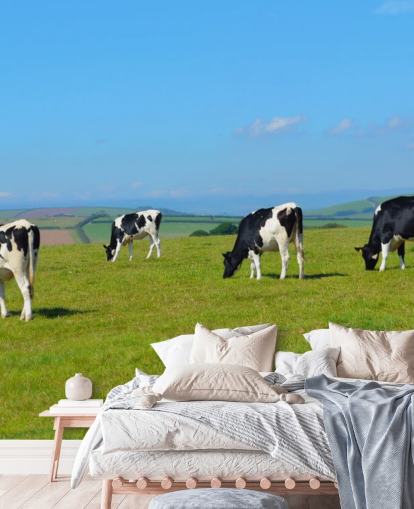 Papier peint vaches laitières Devon sur le terrain Papier peint vaches laitières Devon sur le terrain