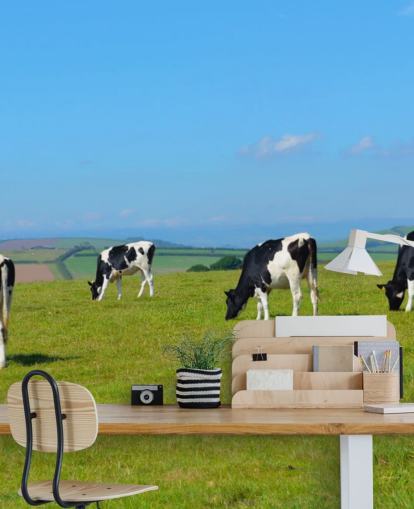 Papier peint vaches laitières Devon sur le terrain Papier peint vaches laitières Devon sur le terrain