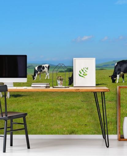 Zuivel Devon Koeien in veld behang Zuivel Devon Koeien in veld behang