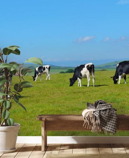 Zuivel Devon Koeien in veld behang