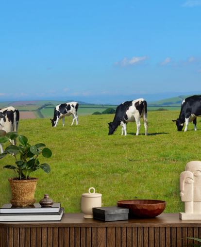 Dairy Devon Cows in Field Wallpaper