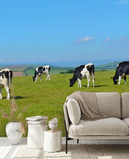 Dairy Devon Cows in Field Wallpaper