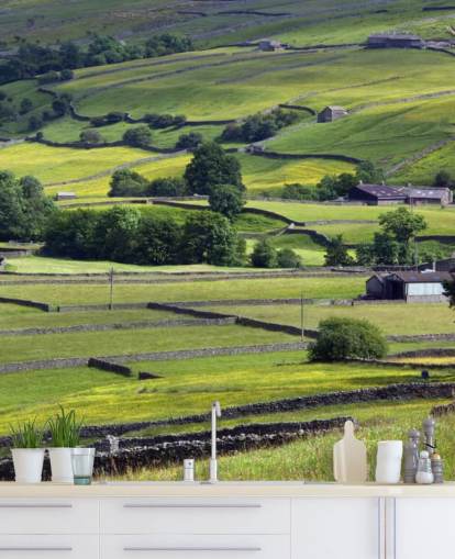 Mural de pared Campo con paredes de piedra seca