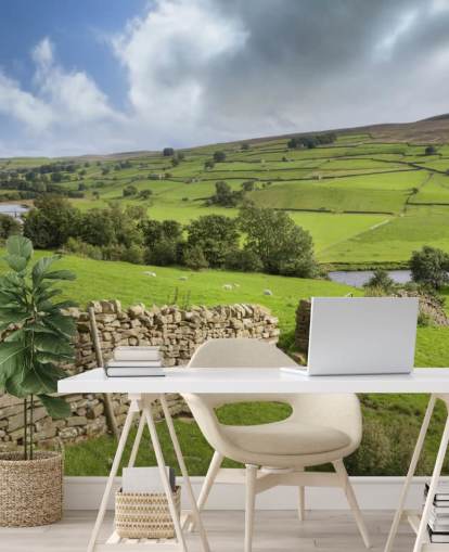 Trockenmauer und Felder in Swaledale Wandgemälde