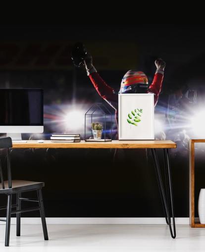 black, white and red f1 wallpaper mural called Fernando Alonso Korea Victory 2010 black, white and red f1 wallpaper mural called Fernando Alonso Korea Victory 2010