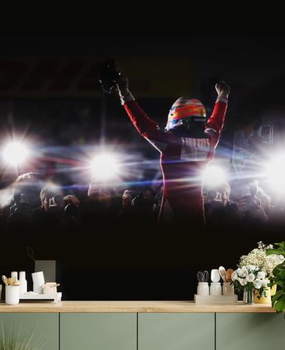 papier peint mural noir, blanc et rouge f1 appelé Fernando Alonso Korea Victory 2010 papier peint mural noir, blanc et rouge f1 appelé Fernando Alonso Korea Victory 2010