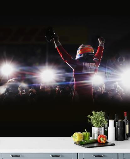 black, white and red f1 wallpaper mural called Fernando Alonso Korea Victory 2010