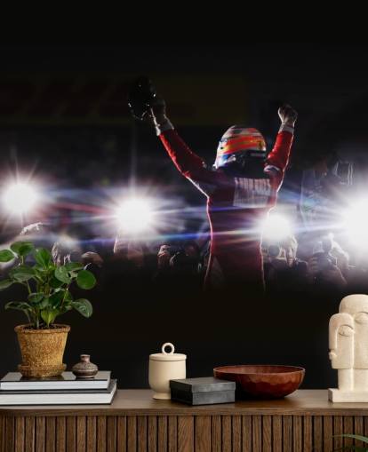 mural de papel pintado f1 en blanco, negro y rojo llamado Fernando Alonso Korea Victory 2010