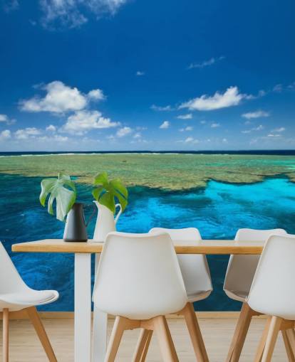 Beautiful Colors of Clam Gardens at Great Barrier Reef wallpaper